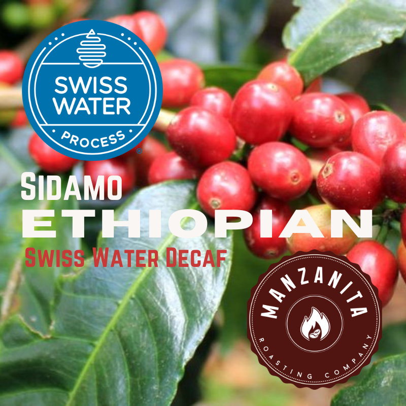Swiss Water Decaf - Ethiopia