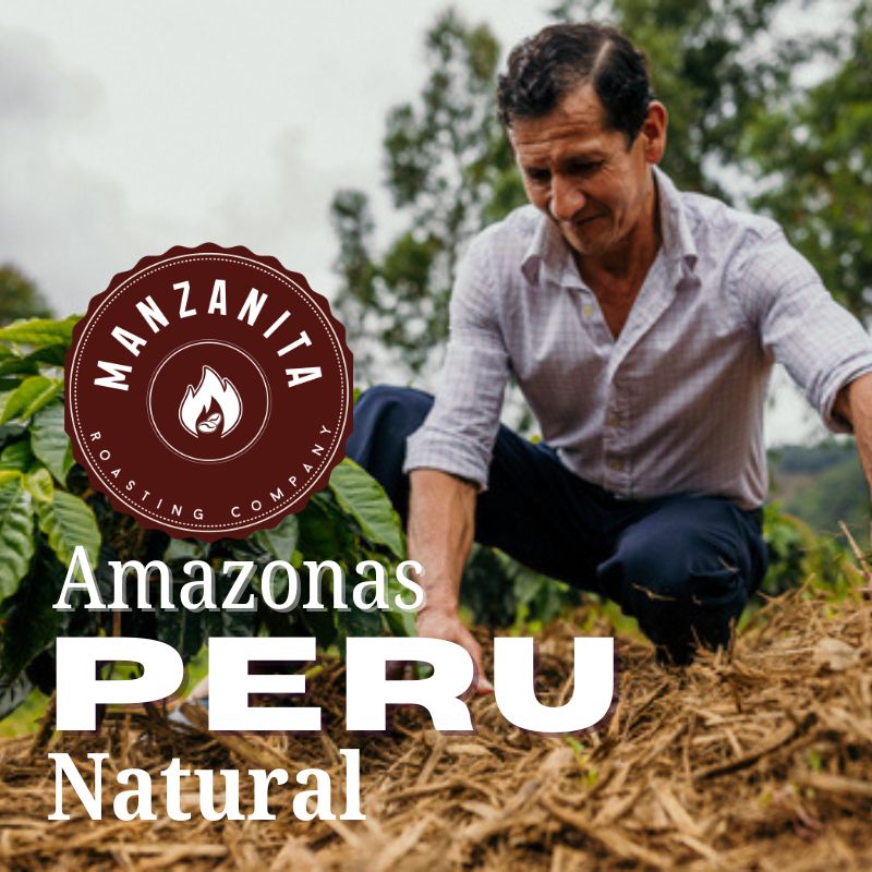 Peru El Plate - Natural
