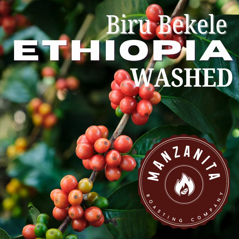 Biru Bikele Ethiopian - Washed